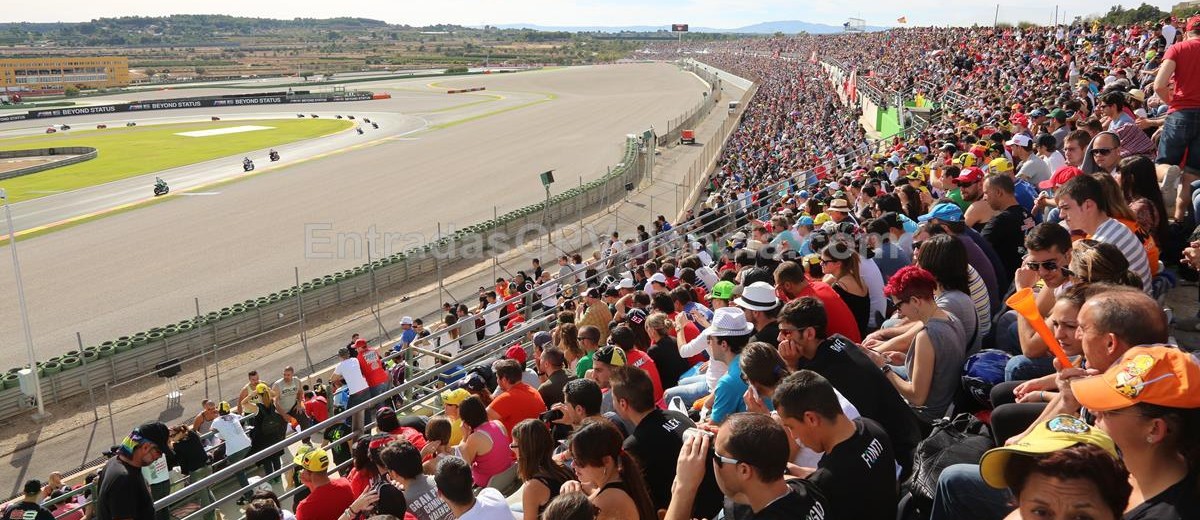 Tribuna Verde